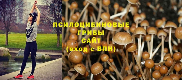 ECSTASY Семикаракорск