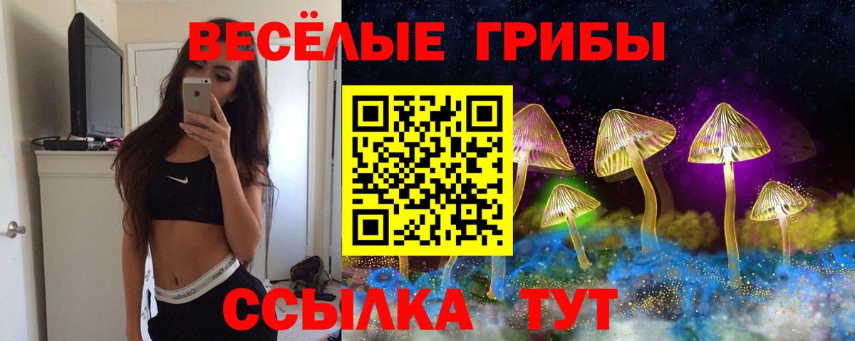 Галлюциногенные грибы мухоморы Ипатово