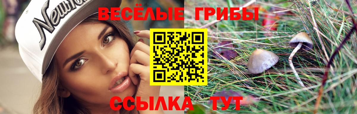 Галлюциногенные грибы прущие грибы  Вход с VPN  Ипатово  Галлюциногенные грибы Magic Shrooms 